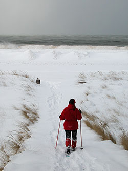 Saugatuck State Park's scenic Lake Michigan shoreline during the winter.